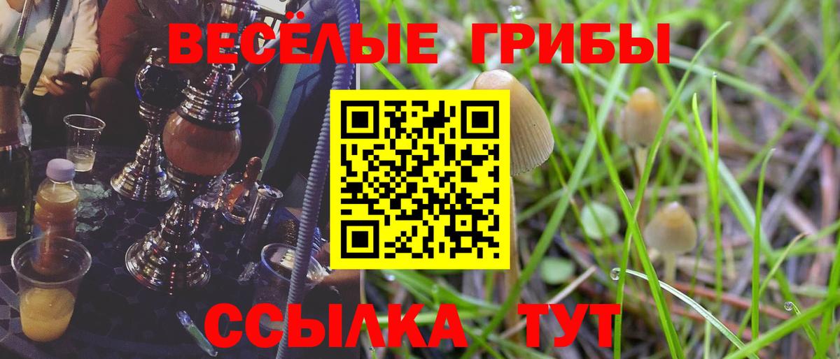 Галлюциногенные грибы мухоморы Орск