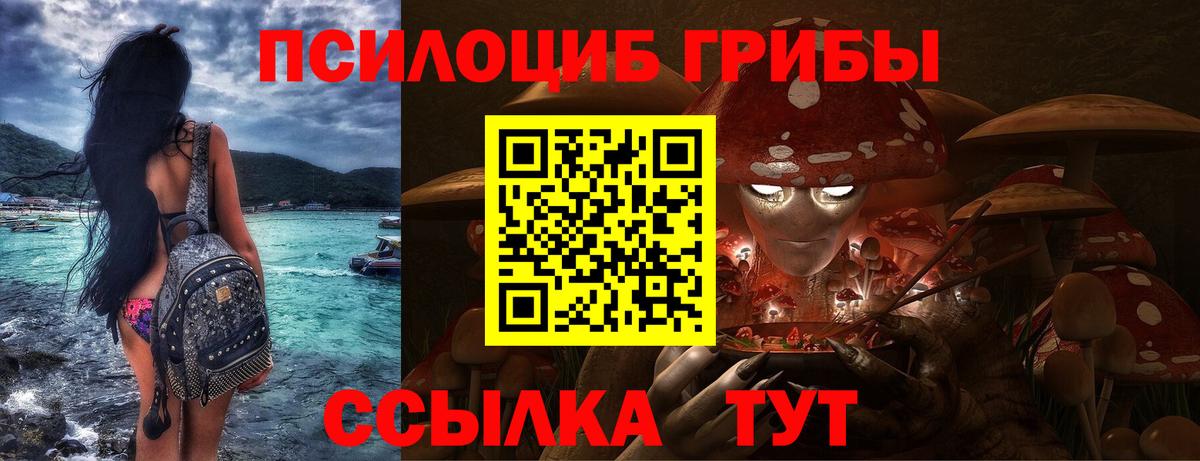 Орск  Псилоцибиновые грибы прущие грибы  Вход с VPN  Псилоцибиновые грибы Magic Shrooms 